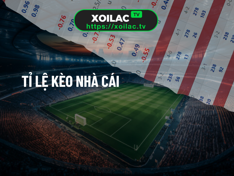 Tỷ lệ kèo nhà cái